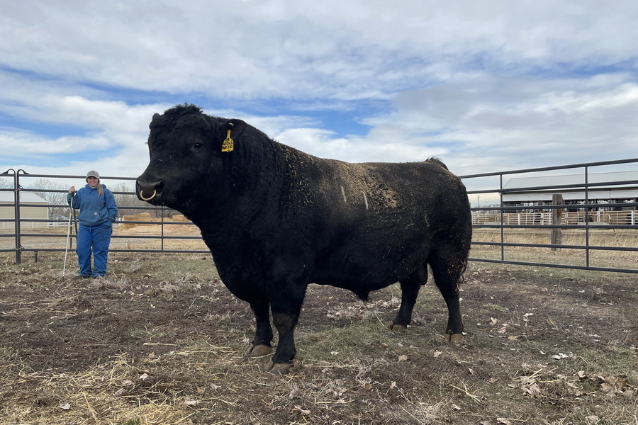 Источник фото: ElDala.kz