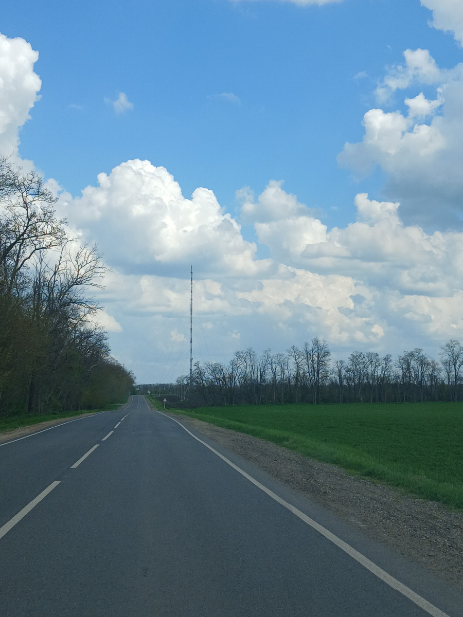 Дорога между полями