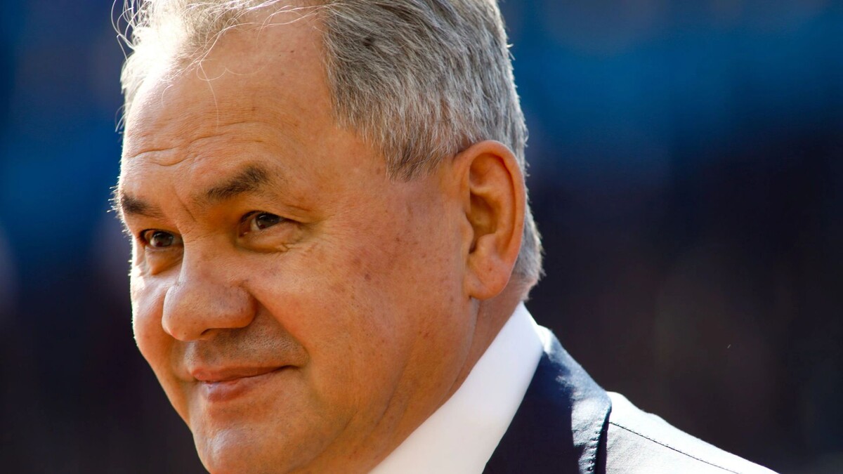    Фото:Sasa Dzambic Photography/Shutterstock/Fotodom