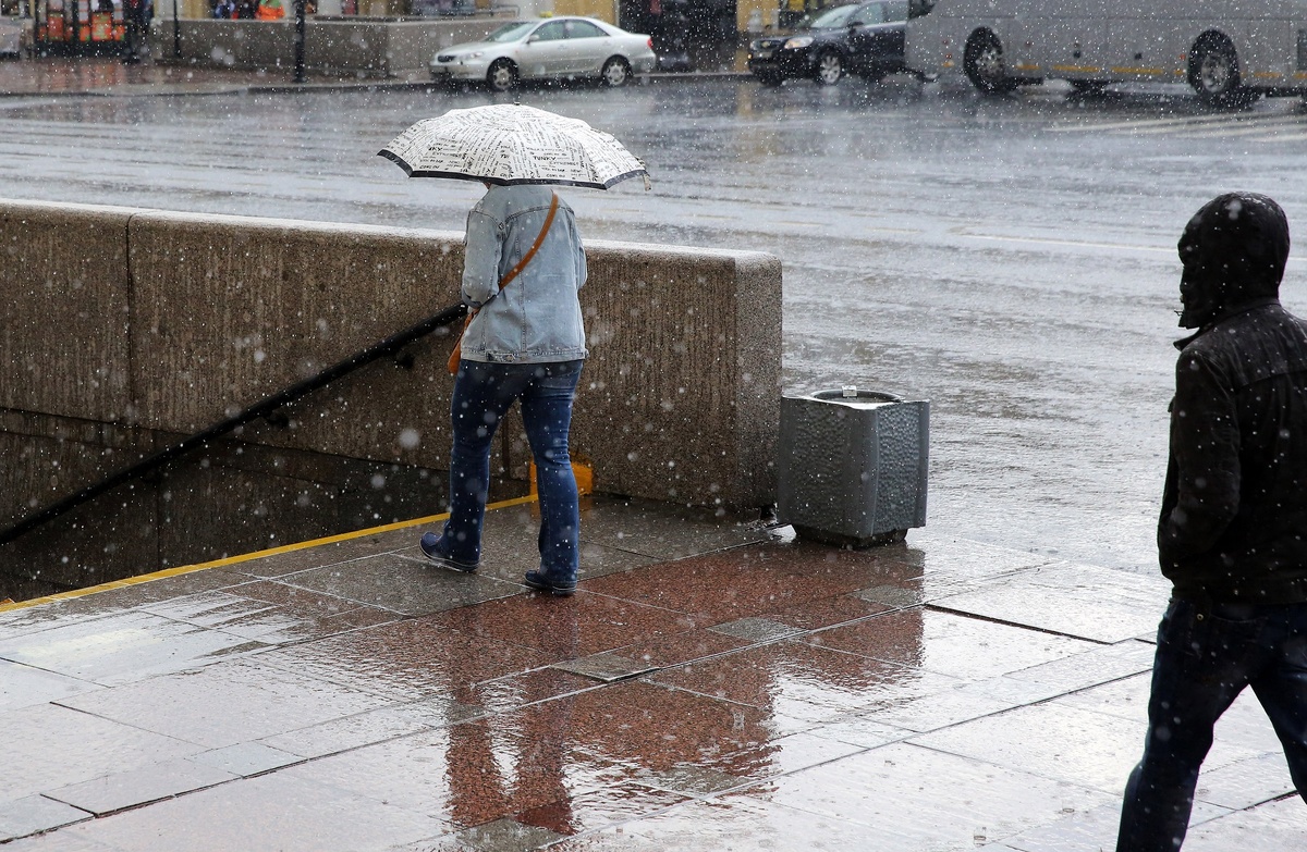    Фото: Baltphoto/Андрей Пронин