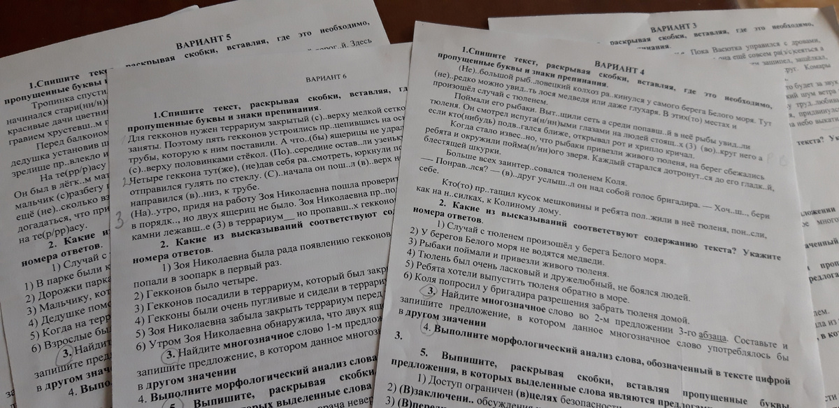 Варианты ВПР в 7 классе