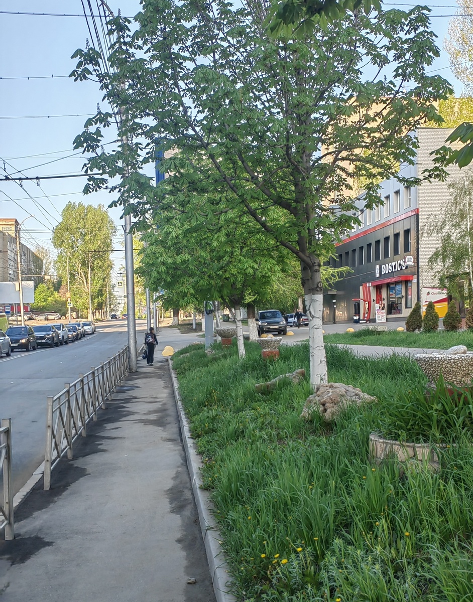 Школьник мой