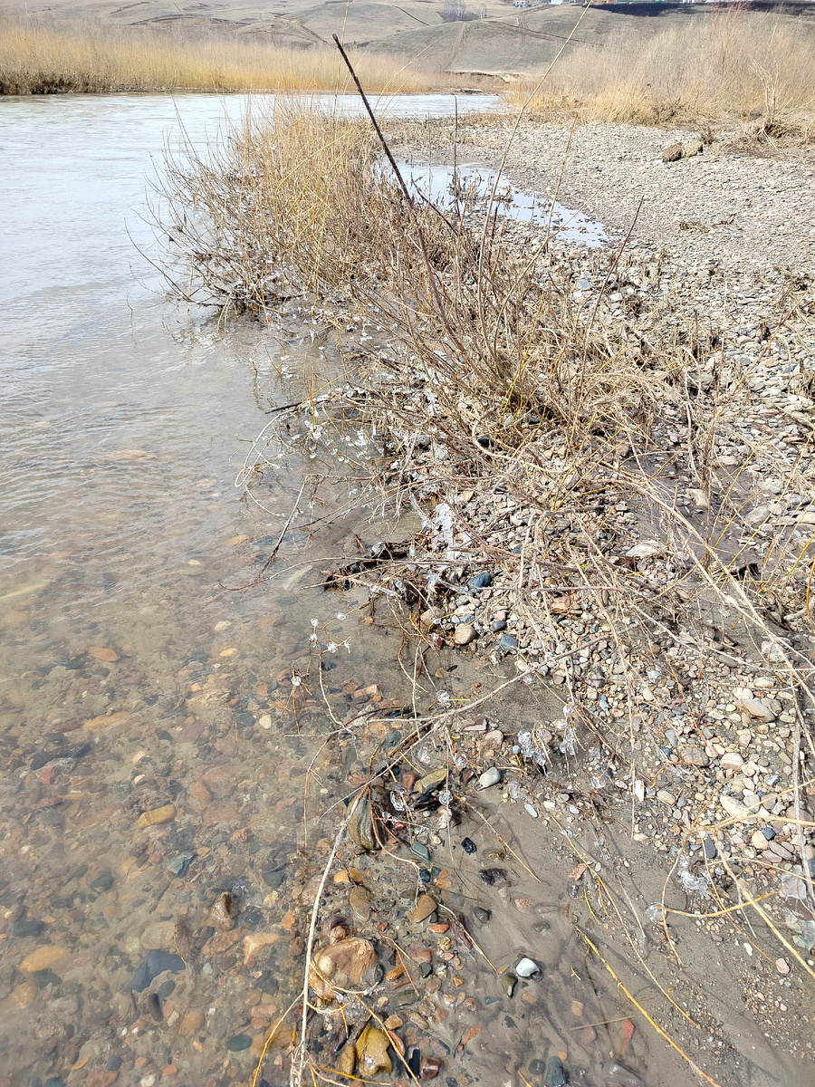 Красивые льдинки на прошлогодней траве