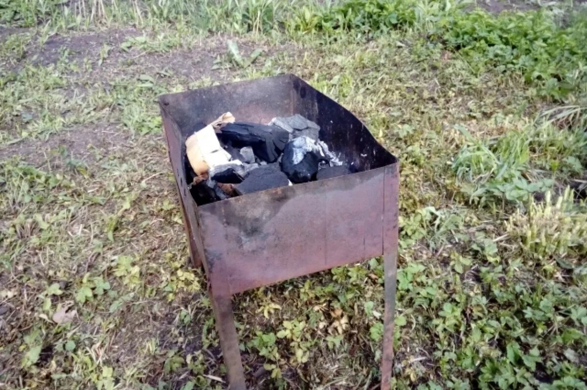    По всей Новосибирской области вводят особый противопожарный режим