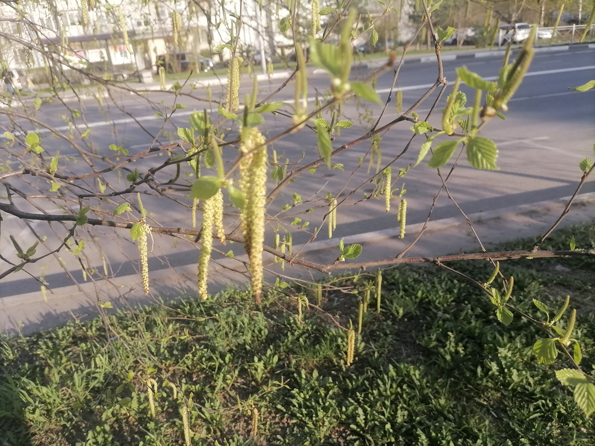 Для обложки