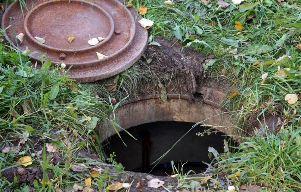 Фото из интернета