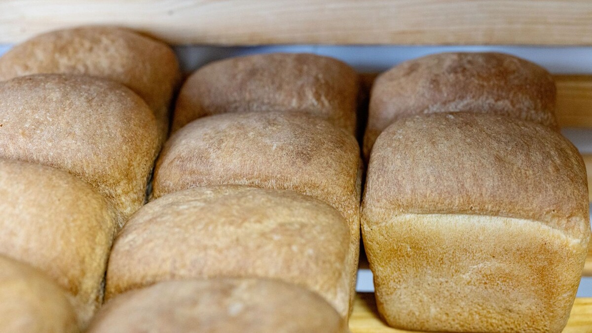    Фото: Сергей Зубков/«Ямал-Медиа»