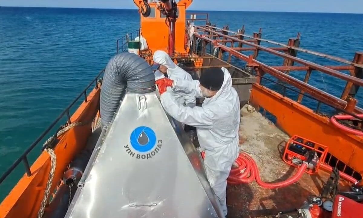    Фото Данила Воробьева, Биологический институт ТГУ