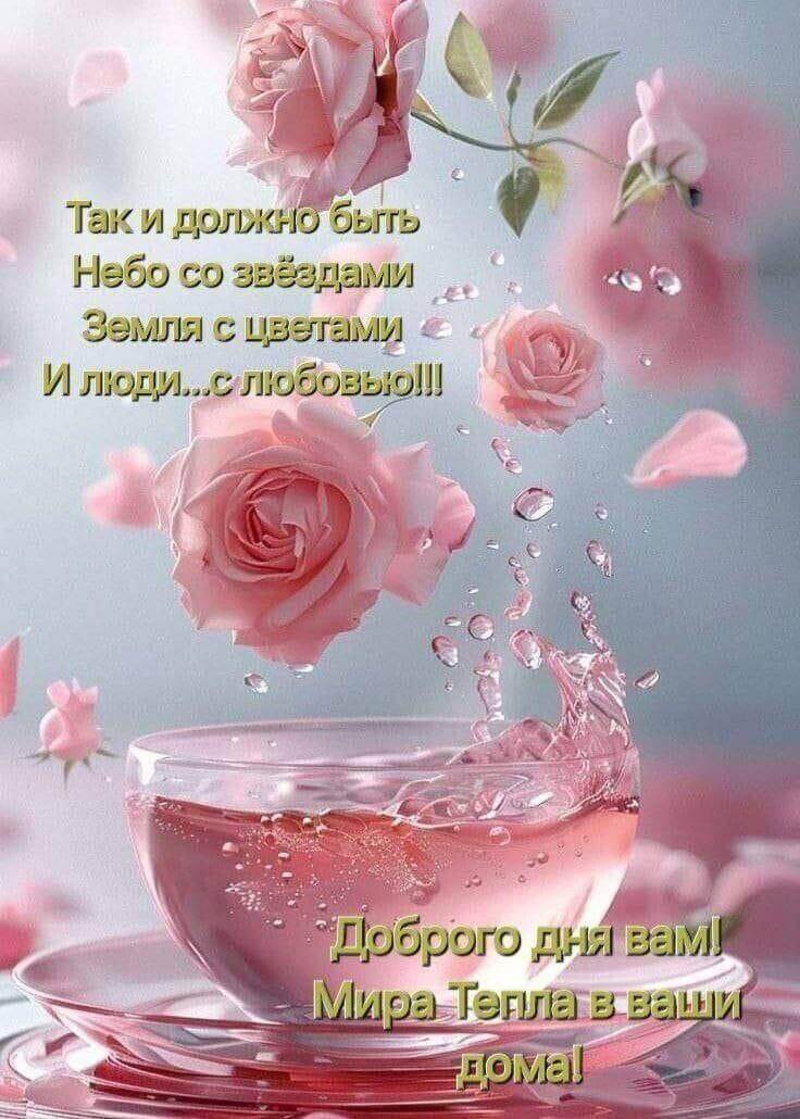 Фото из свободного доступа интернета