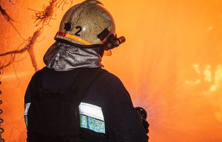    Социальные сети