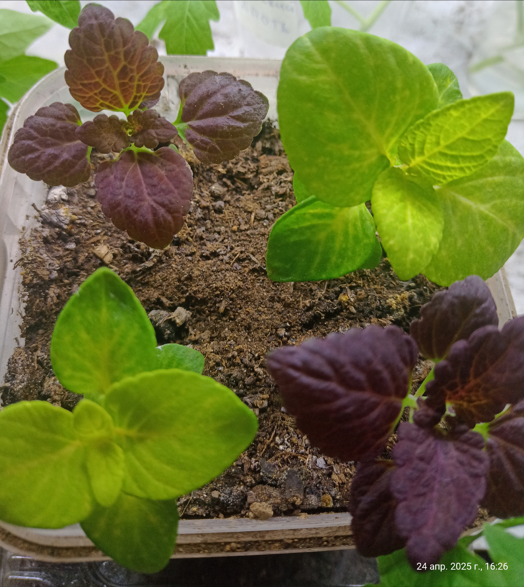 Просто для красоты