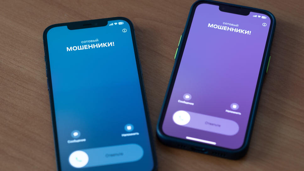 Фото: Олег Харсеев / Коммерсантъ