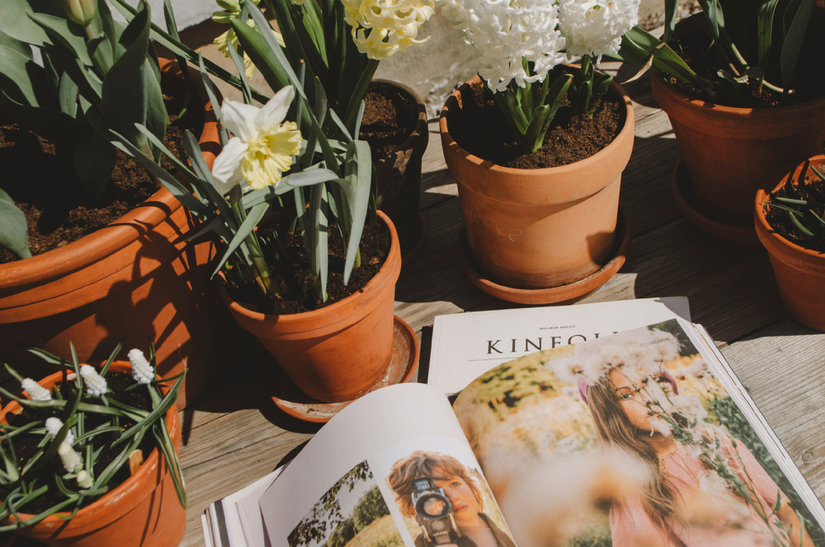 Нарцисс «Айс Фолис», мускари «Альба», гиацинт «Карнеги» (невероятно сильно пахнет). 