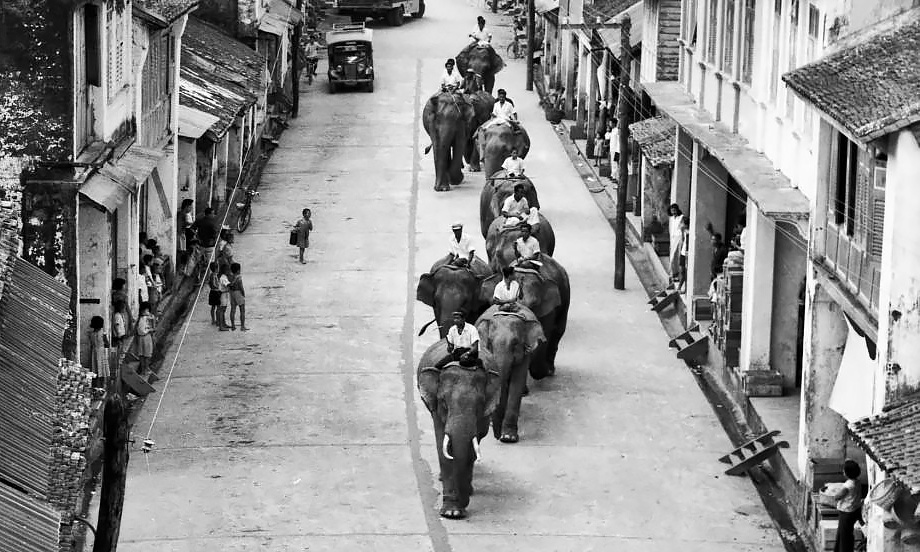 Город Пхукет 1950-е. Фотограф: Саенгджун Лимлохакул (Saengjun Limlohakul)