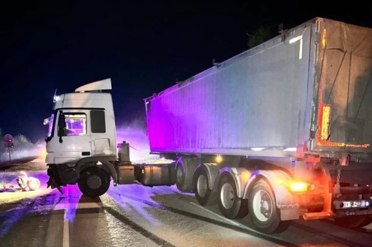    Два человека погибли в ДТП с мотоблоком и грузовиками под Рязанью