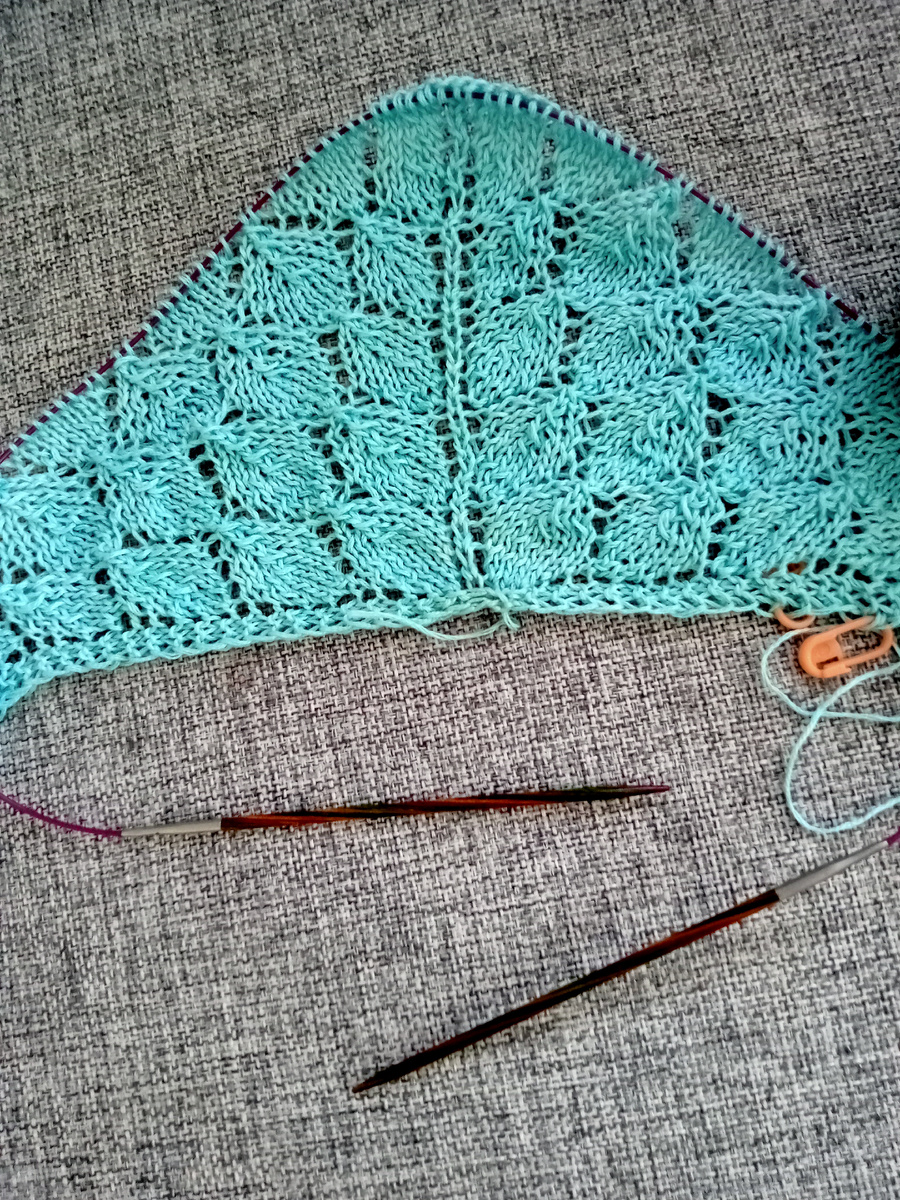 Вот такое начало бактуса из хлопка прекрасного бирюзового цвета, так что один процесс на будущий сезон " Шалемания" у меня уже есть ☺️👍.