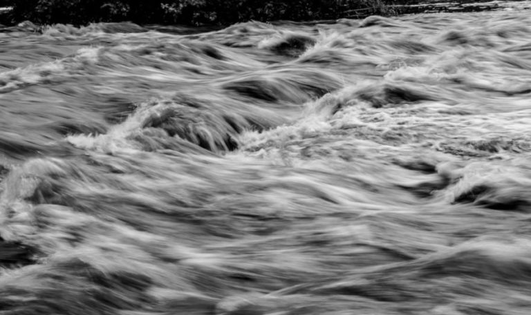    Фото: unsplash.com / Lukas Hron Ксения Евдокимова