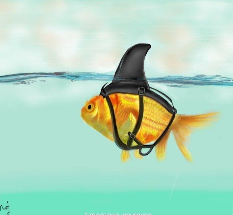 Сделайте вашу победу в войне очевидной для противника, и вступать в эту войну вам не придётся