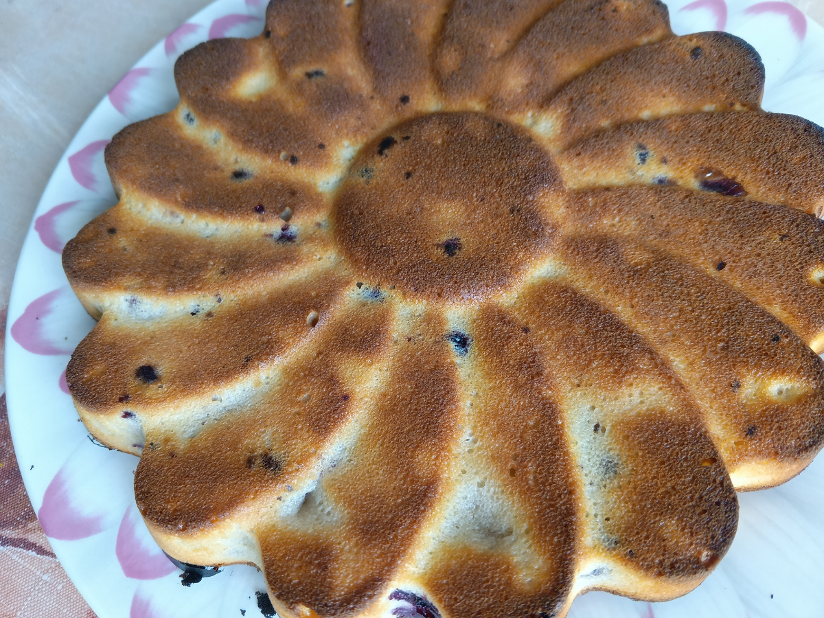 фото аатора: манник