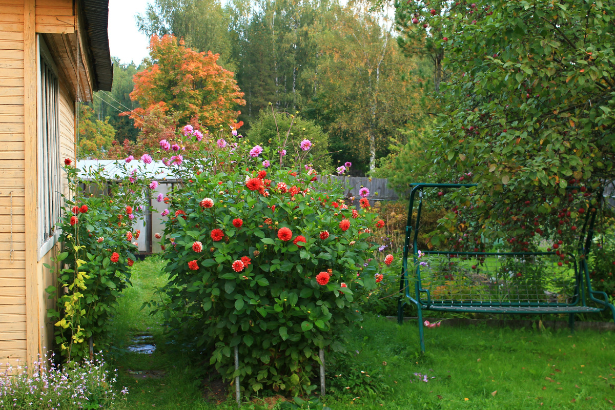 Межевание проводится добровольно по желанию владельца, но иногда оно необходимо