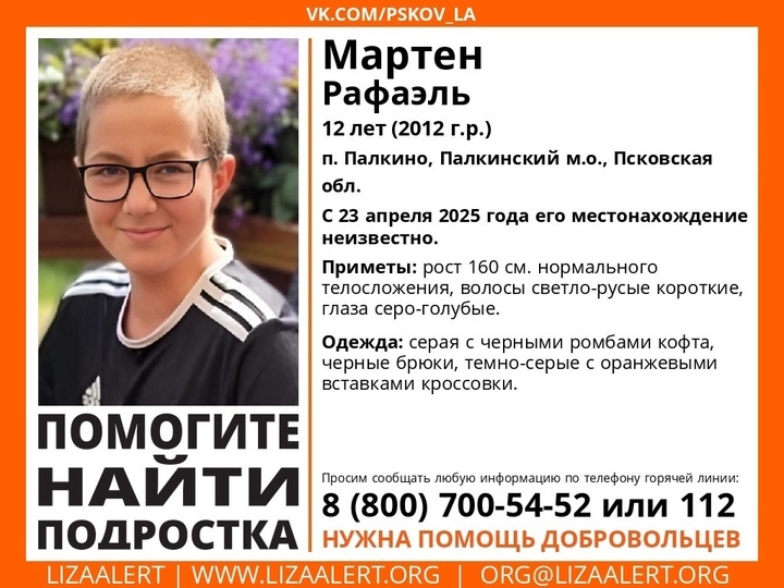 12-летний подросток пропал в Палкино