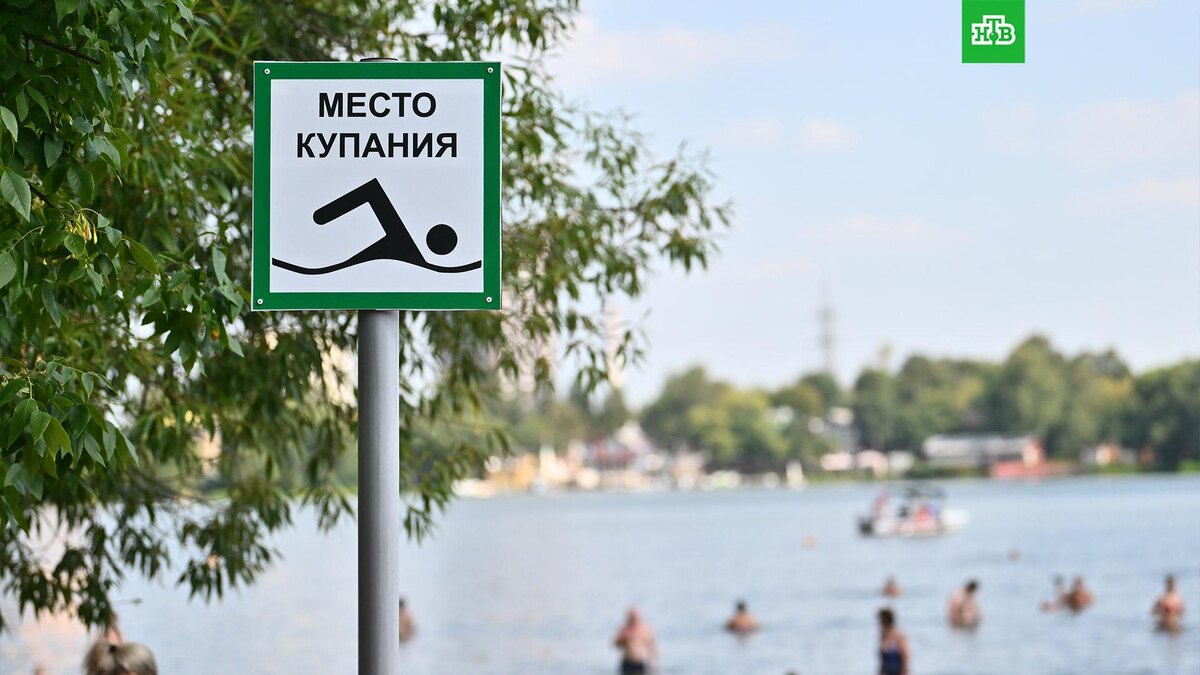    Фото: РИА Новости © 2025, Кристина Кормилицына