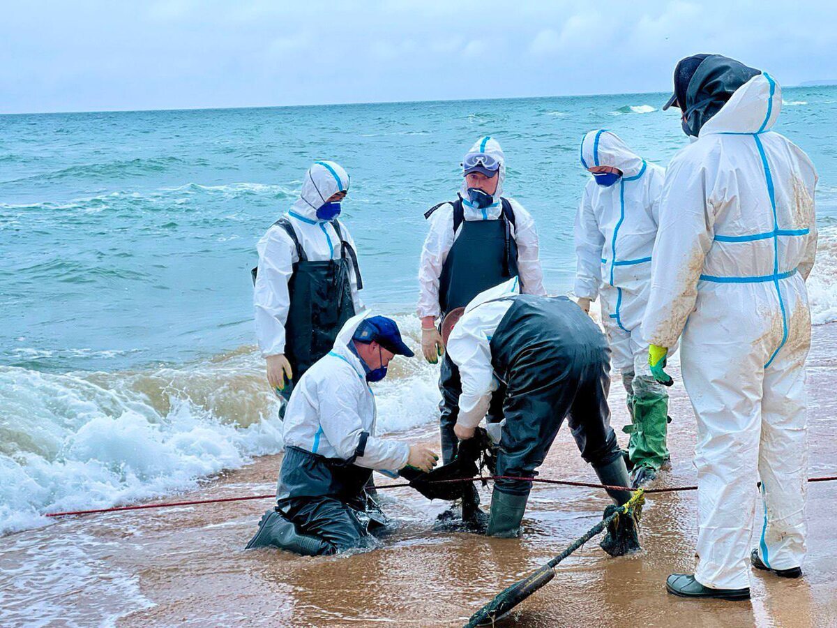    Фото: Оперштаб Кубани