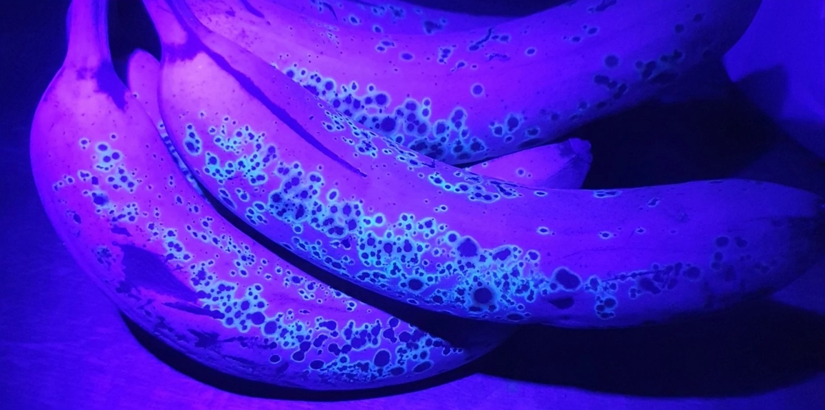 Светящийся банан