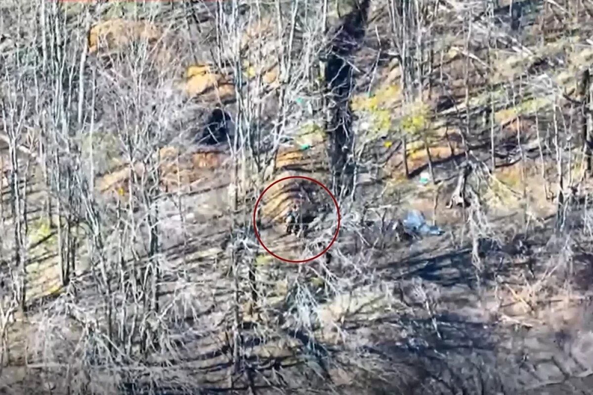    Боевики ВСУ в Горнали заблокированы в яме, которую сами и выкопали