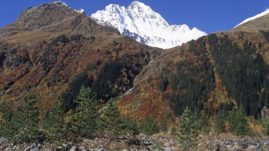    Andrei Kamenev/Russian Look/Globallookpress