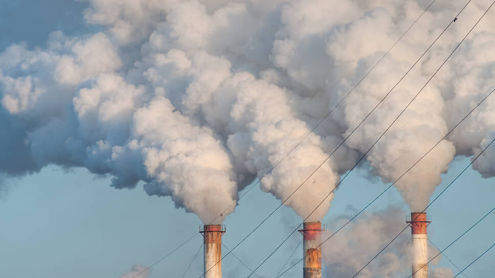 Фото: Олег Харсеев / Коммерсантъ