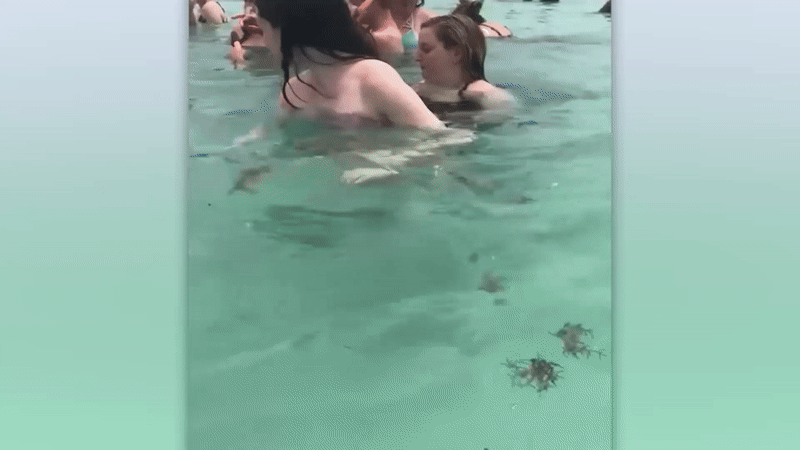 видимо скаты узнали, что девушки просто не поставили лайк этой статье :)