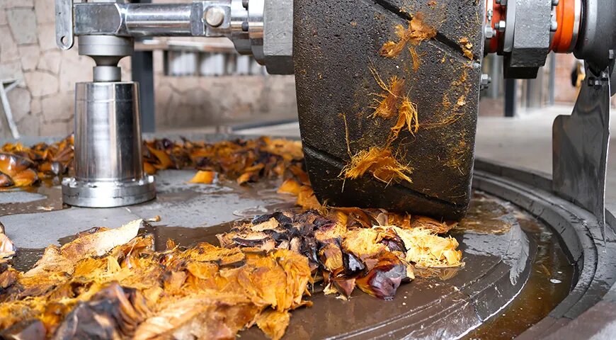   Запеченную агаву растирают, чтобы получить сок, который в дальнейшем используется для производства текилы (Shutterstock/FOTODOM)
