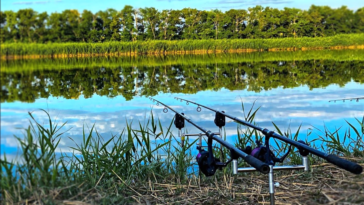 Обман на платных прудах