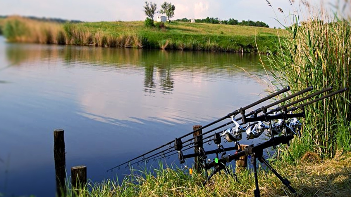 Обман на платных прудах