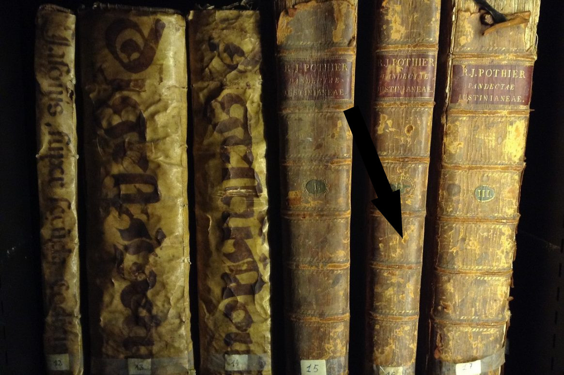    Тайна исчезновения 90% древних книг Кто боится правды и зачем сжигают библиотеки