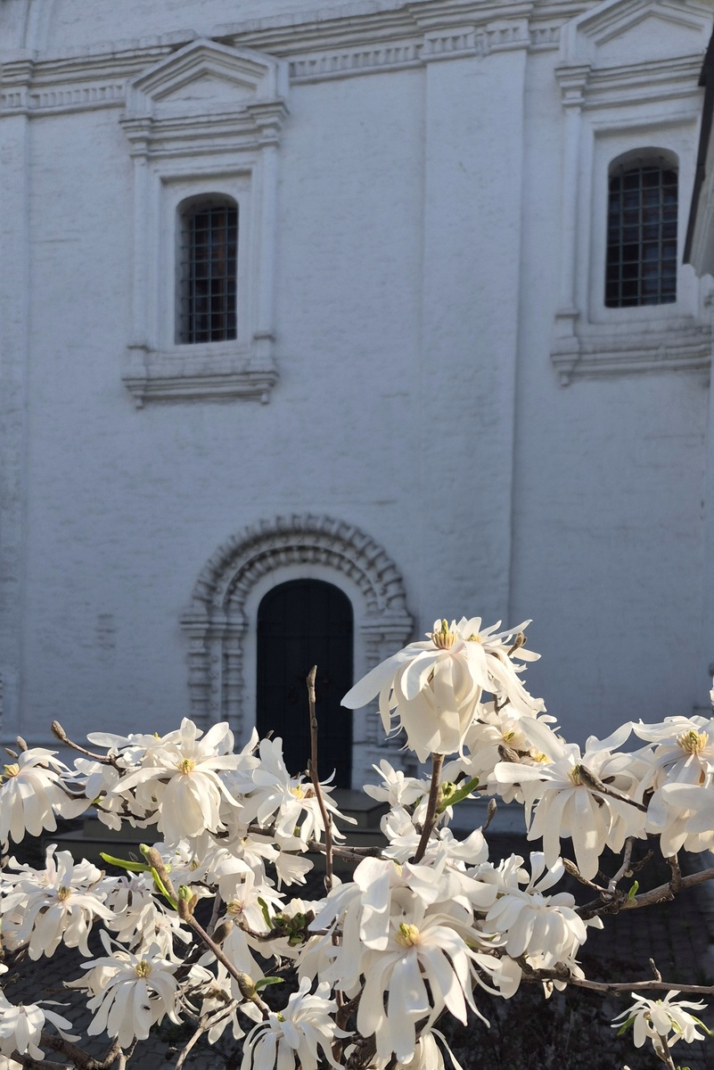 Дворик с магнолией. Церковь Троицы Живоначальной в Листах