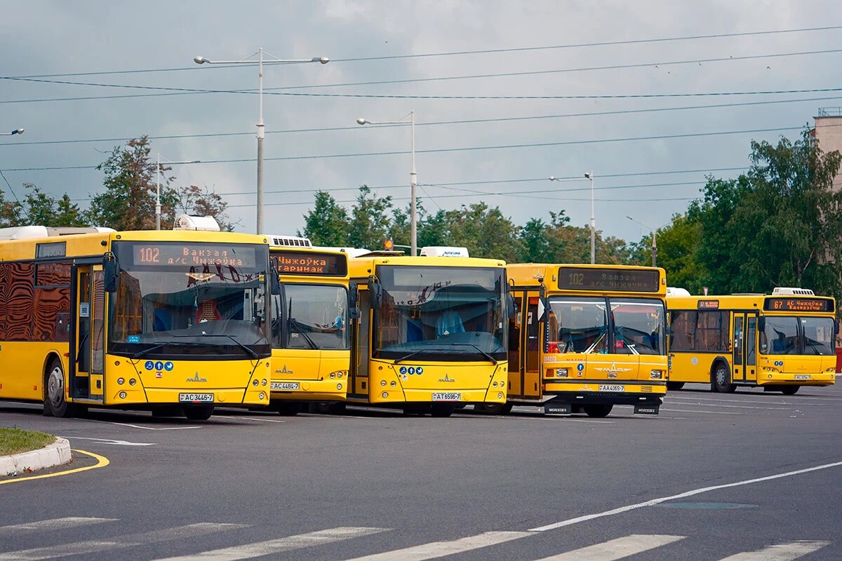    Фото: Tricky_Shark / Shutterstock.com