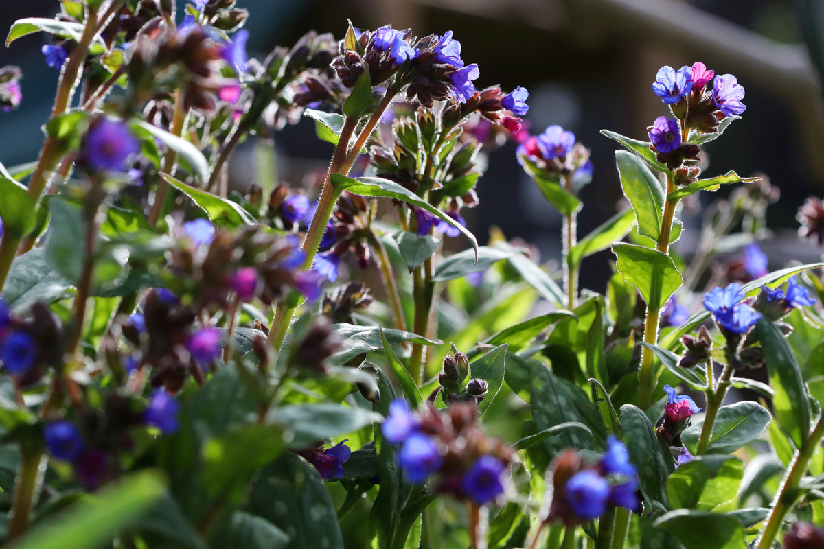 фото: IMAGO/KH/Global Look Press