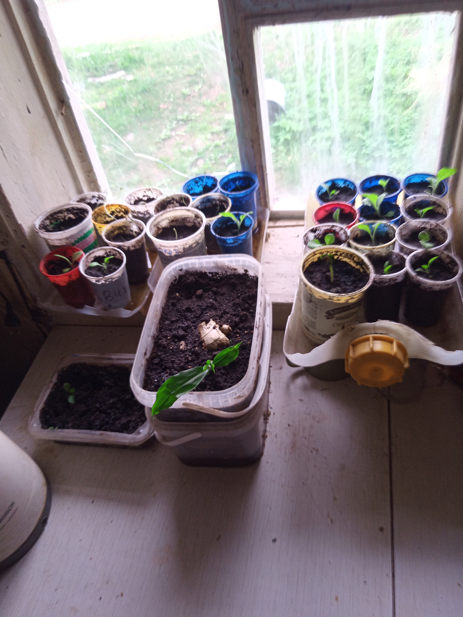 Вот вам ещё три табака. 