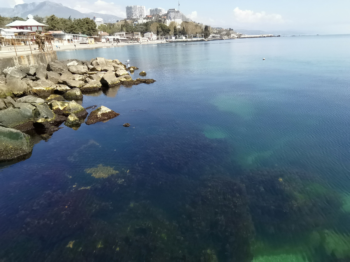 Вода прозрачная.