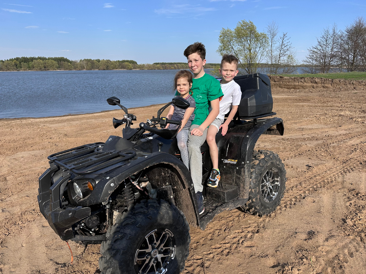 Катаются котята