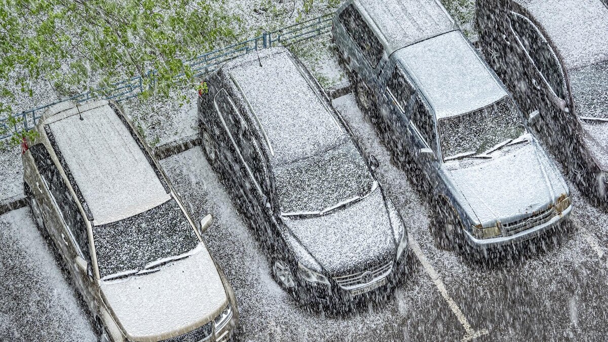    Фото: ИЗВЕСТИЯ/Константин Кокошкин