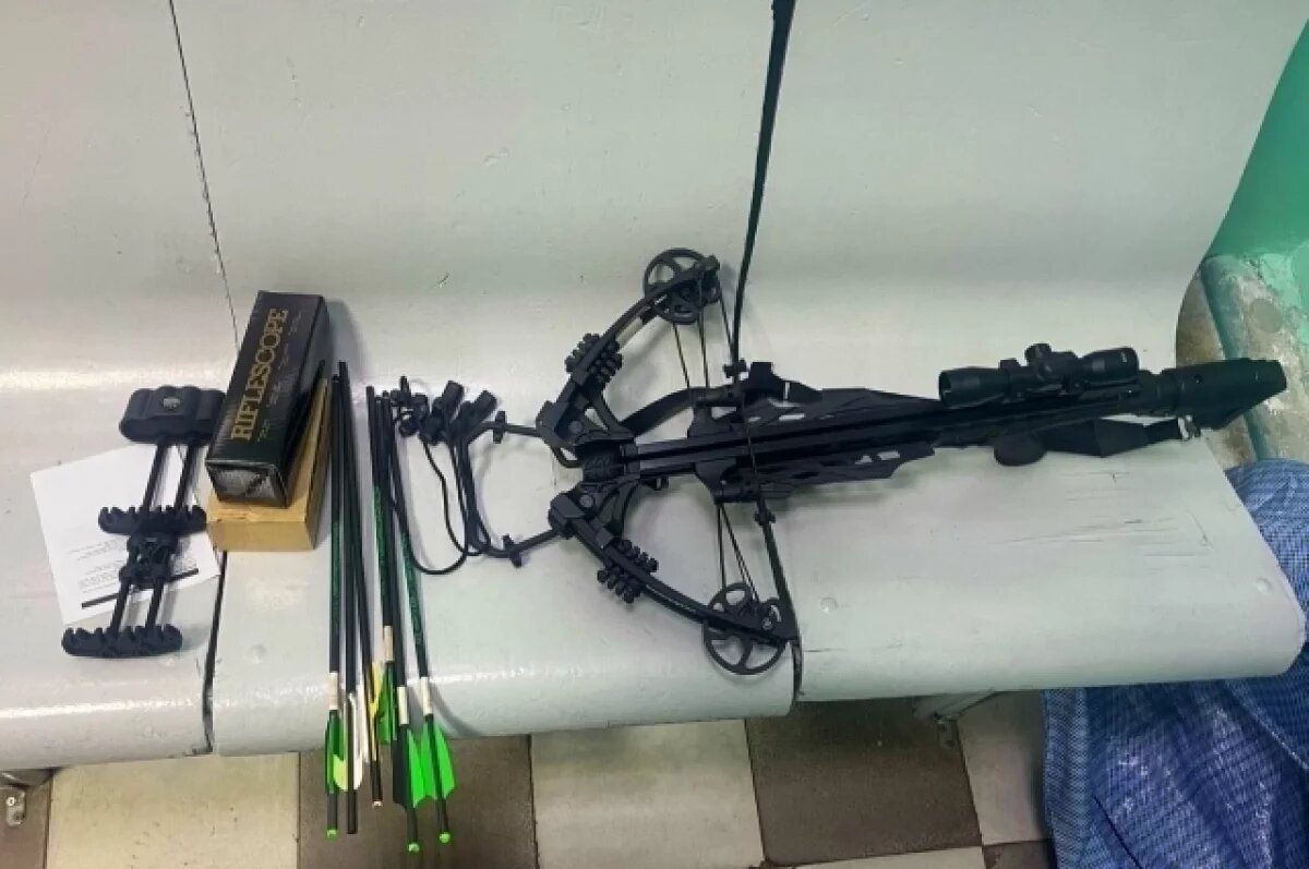    Житель Твери предстанет перед судом за незаконную продажу арбалета