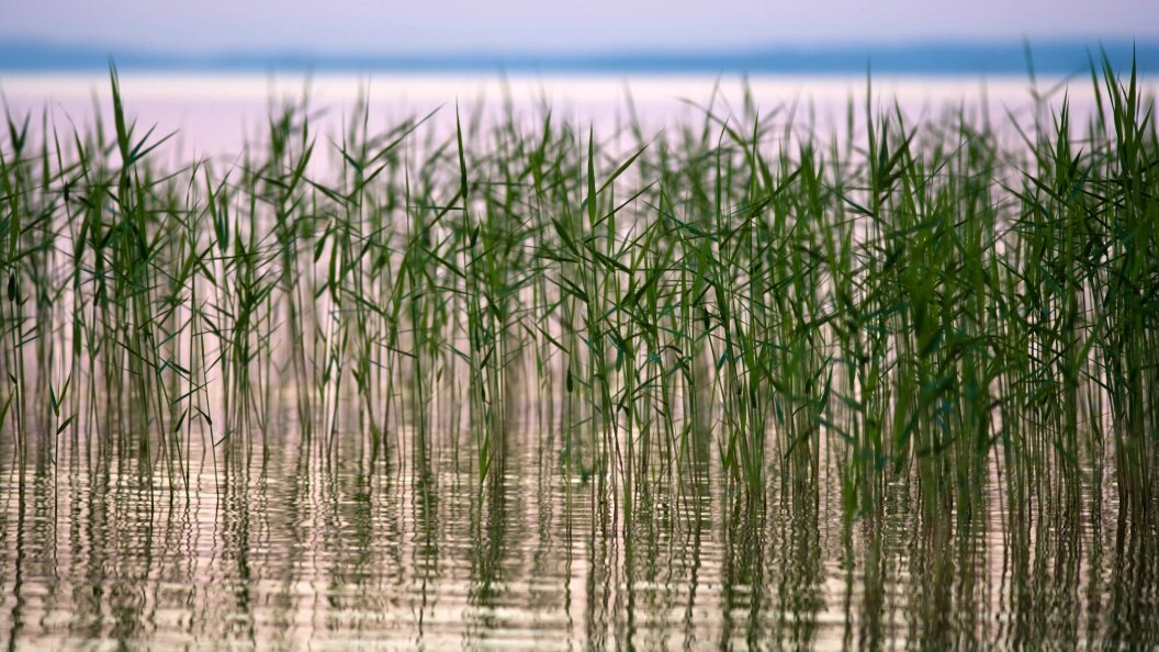    Фото: Igor Podgorny/Globallookpress