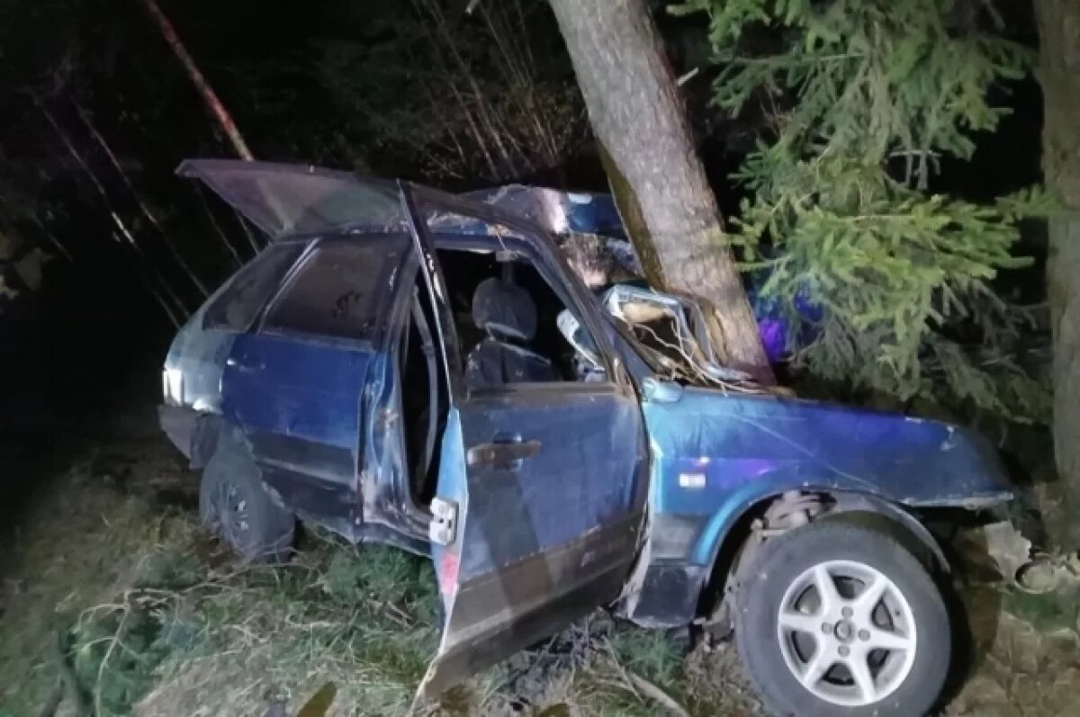    Смертельное ДТП на брянской трассе устроил пьяный водитель без прав