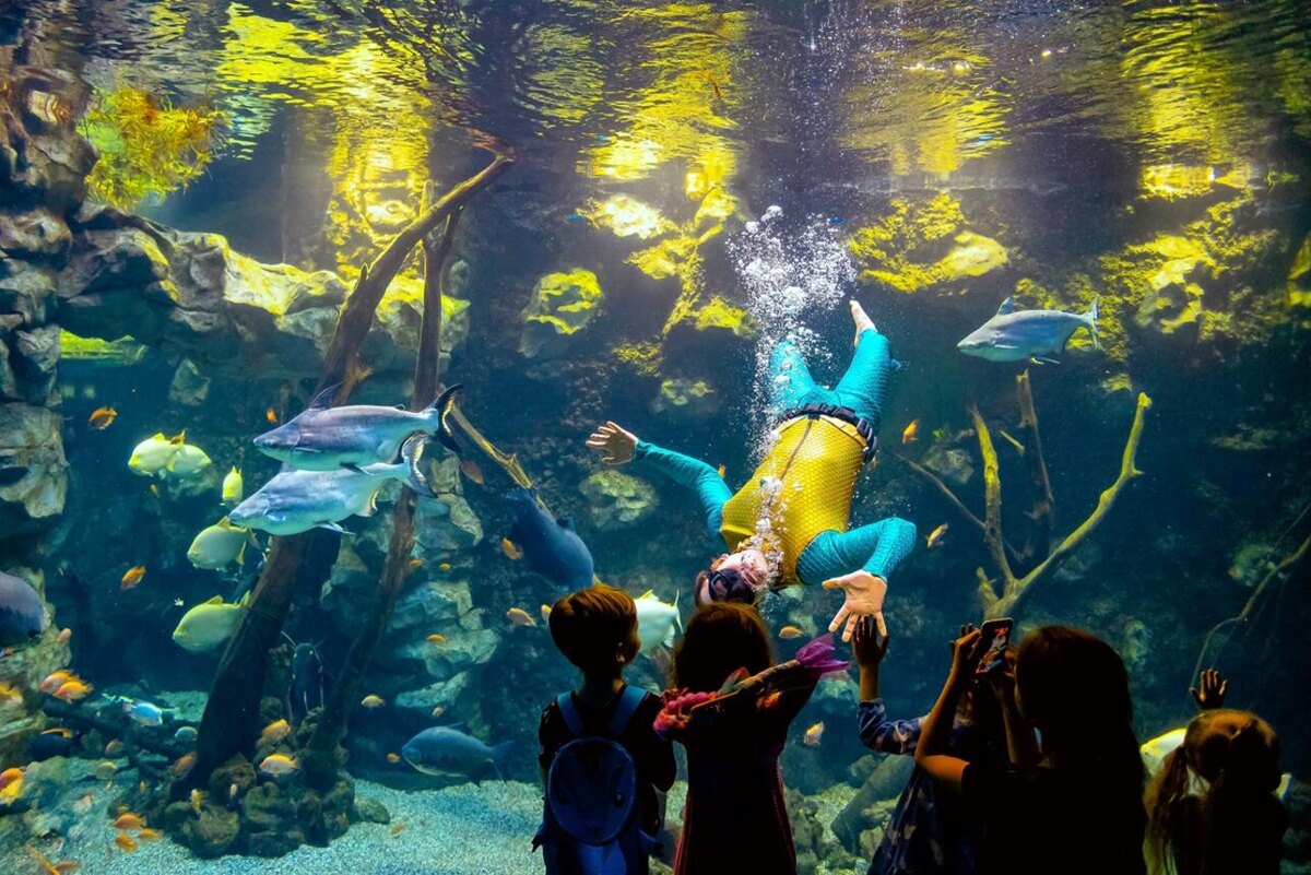   Шоу «Русалочка и Водяной» Предоставлено Пресс-службой