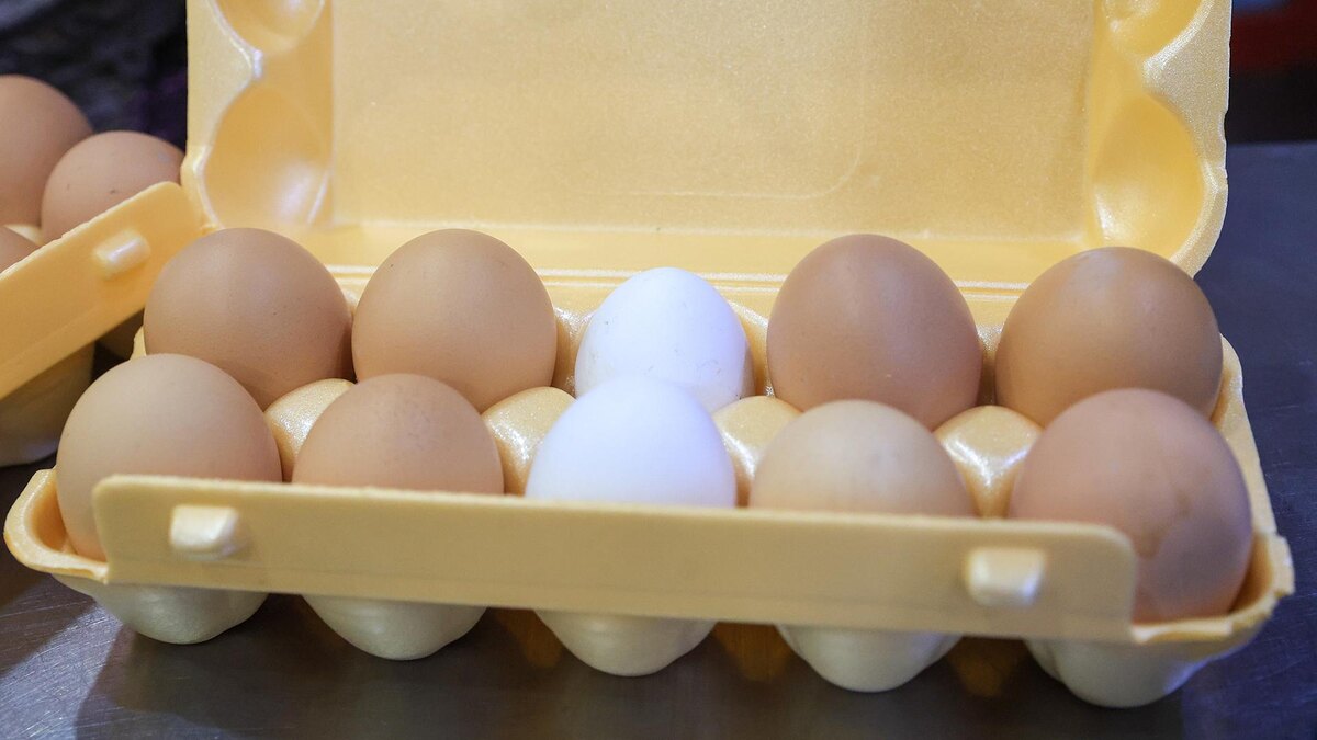 Фото: Shatokhina Natalia/globallookpress.com