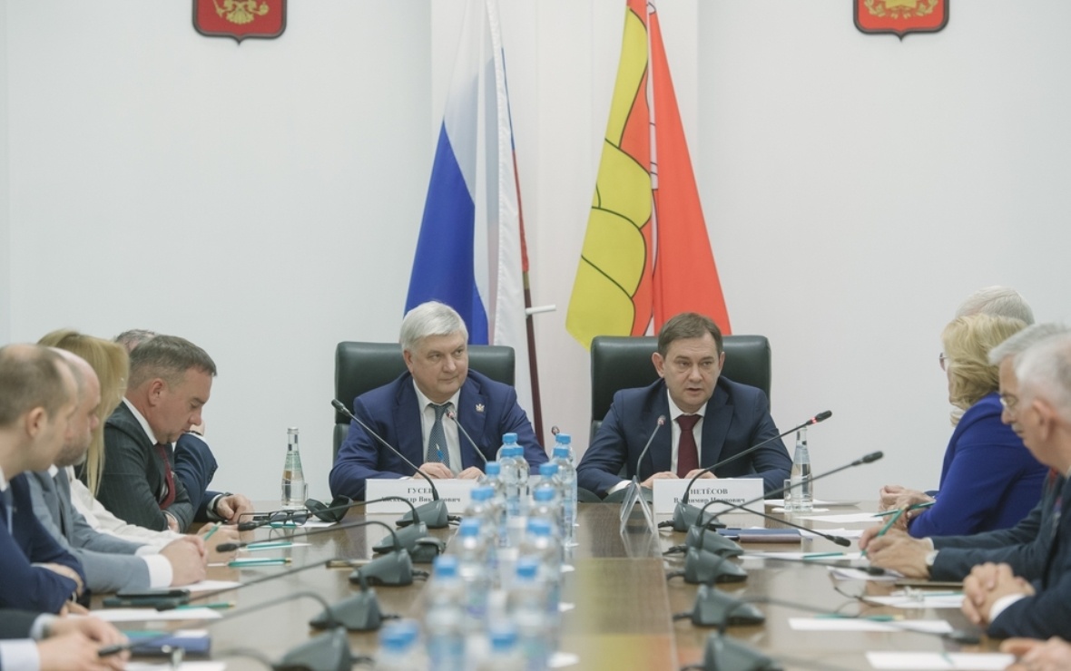 Фото: пресс-служба правительства Воронежской области
