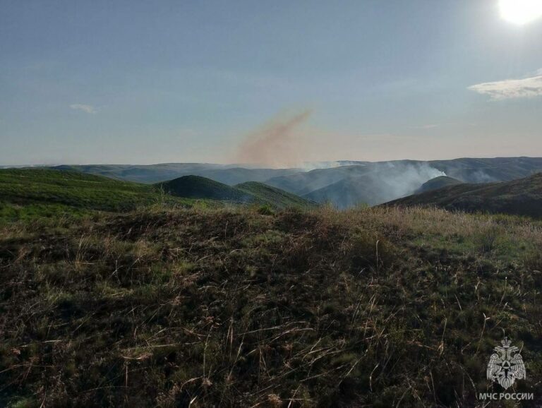    В Оренбуржье 24 апреля объявлен повышенный класс пожарной опасности Андрей Севостьянов